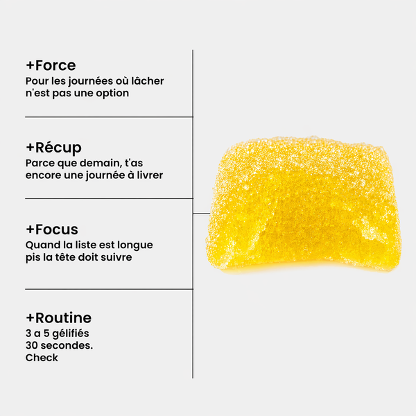 Gummies de Créatine Monohydrate | Limonade Fraiche