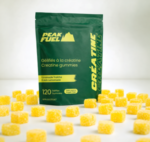 Gummies de Créatine Monohydrate